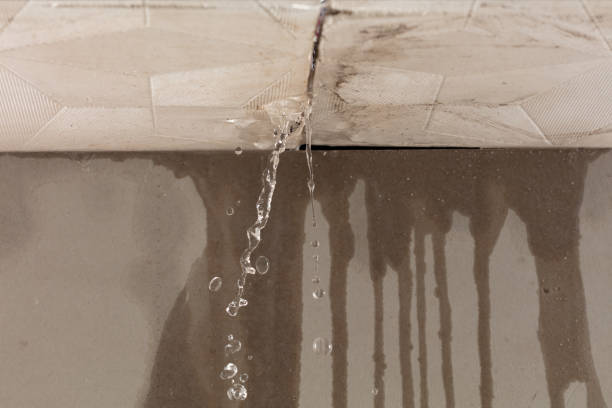 Professional Water Damage Inspection technician working in Bessemer, MI